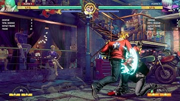 FATAL FURY COTW : Terry HP.HP Feint DP Break link