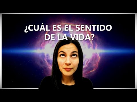 Video: ¿La vida realmente no tiene sentido?