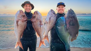 Spearfishing Downunder and SpearAmerica getting it done!!