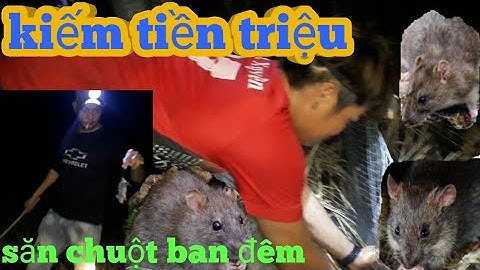kiếm tiền triệu nhờ nghề săn chuột đồng|| thanh niên sống khỏe qua mùa cô vít ||nông dân tv tập 10