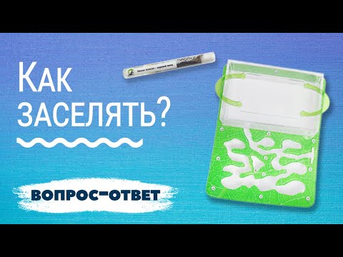 Видео: Подходит ли диатомовая земля для муравьев?