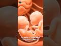 Twins Month 3 – Look How Much They've Grown! 😳👶👶
