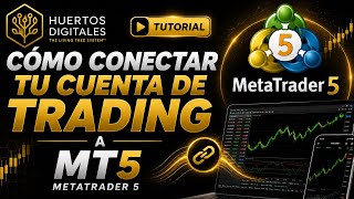 Tutorial: Cómo conectar tu cuenta de Bullfy a MetaTrader 5