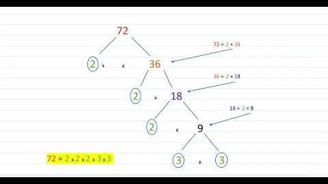 Mathematics - Factor trees: What are they and how do I work them out?