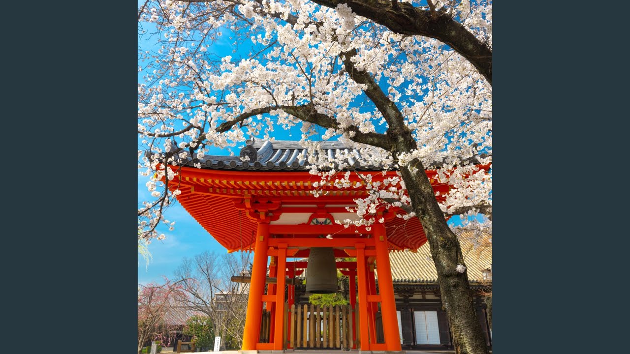 Mindful Changes for a Clear Mind