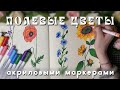 рисуем вместе полевые цветы: подсолнух