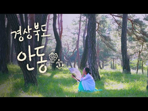 8월의 푸른 빛 - '경상북도 안동' [여행다이어리🚶‍♀️] thumbnail
