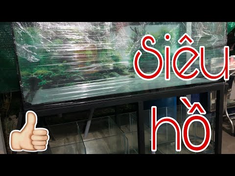 Video Hồ Cá Hút Mặt Hút Đáy công nghệ mới (combo hồ, chân,... - youtube