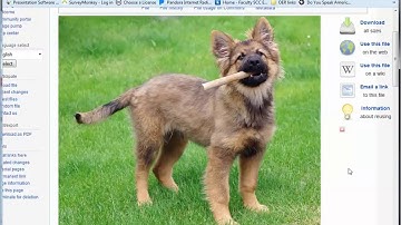 Finding Open Content Using Google Images and Wikimedia Commons