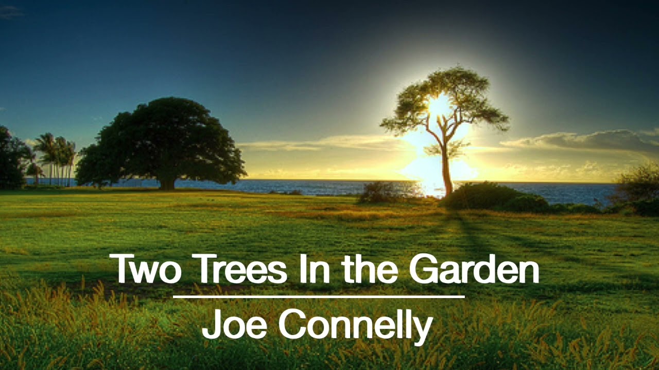 Joe Connelly -  Two Trees In The Garden