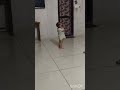 बिजनेस मीटिंग चल रही है भाई! 😎☎️ #shorts