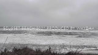 Scusset Beach 2021