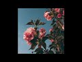 (FREE) Lo-Fi Type Beat - Flowers