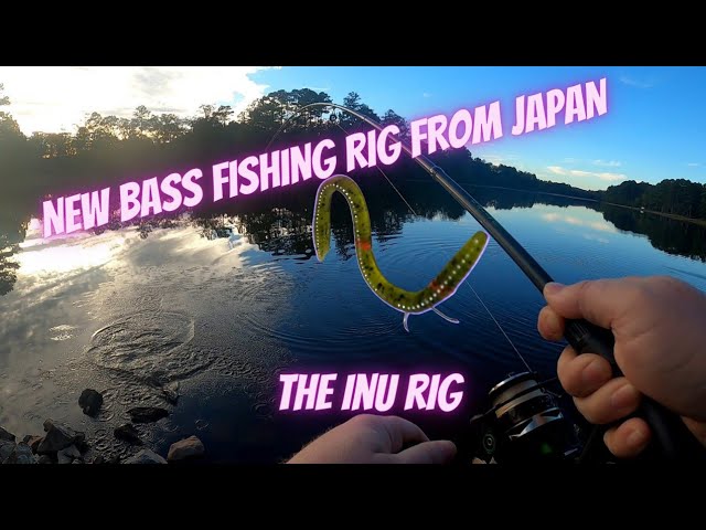 Is the Black Bean Rig the Next Big Thing in Bass Fishing? - Wired2Fish