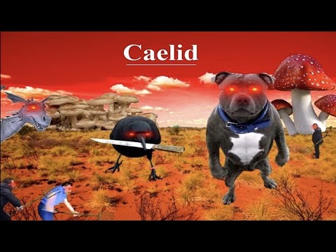 welcome to caelid