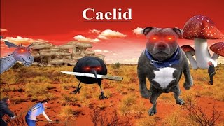 welcome to caelid