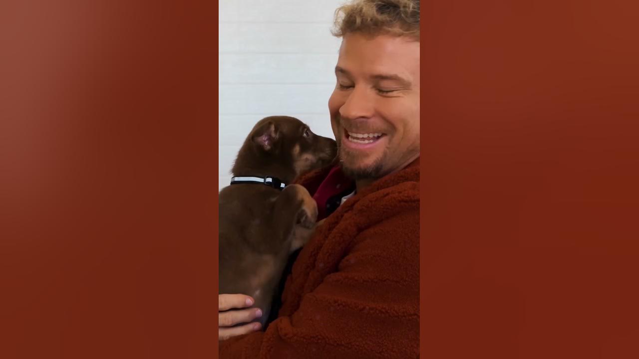 Santa Paws came to town early! 🐶🎁🐾 Listen to #AVeryBackstreetChristmas out now! #BackstreetBoys