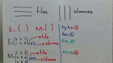 Las matrices. Introducción  (concepto, orden, posición de elementos).