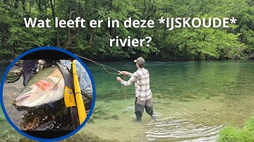 Dit is de Grootste Forel die je OOIT hebt Gezien