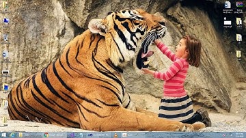 CS411 Assignment 2 Complete Solution Part 1 of 2 due date 22-05-2018