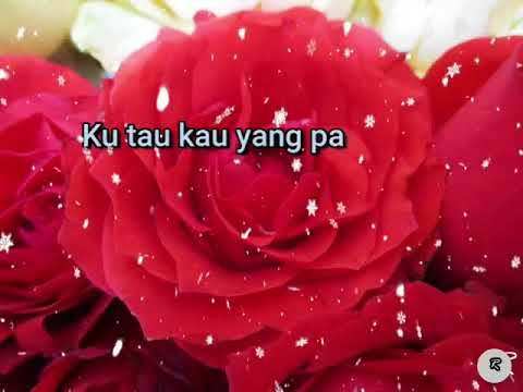 Lain Hari (Lirik \u0026 cover Amanda Caesa)