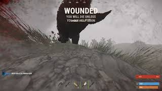 Getting Spawn Camped By A Bear #Rust #Rustshorts Profile