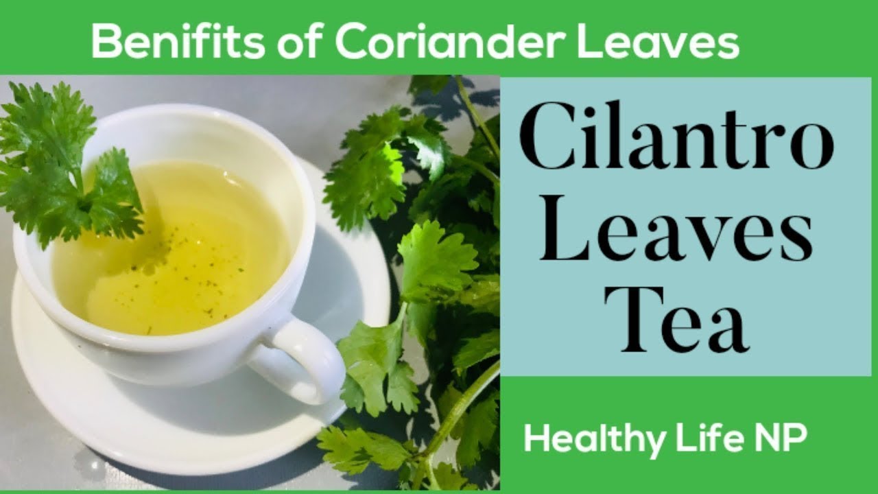 9 Amazing Benifits Of Cilantro|Coriander Leaves Tea|Benifits Of Cilantro  Leaves tea @Arunella