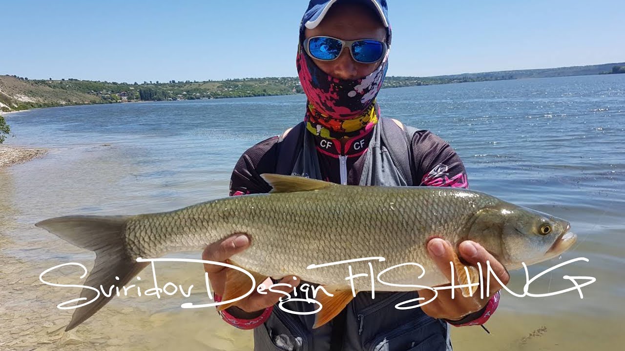 Fishing River V4 - YouTube