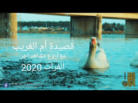 سورية الرقة AlRaqqa أروع مشاهد لنهر الفرات 2020مع قصيدة أم الغريب لفقيد الرقة شلاش الحسن