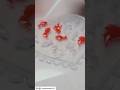 金魚のアシンメトリーピアス/イヤリング