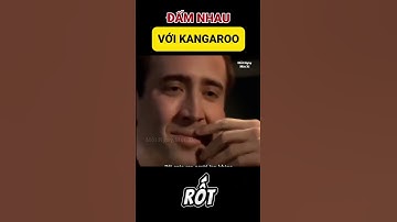 Liệu con người có đánh được kangaroo #shorts