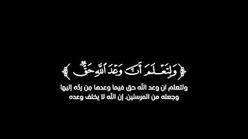 كروما شاشة سوداء قرآن كريم 🌿تلاوة من سورة القصص  🌿القارئ زياد محمد حامد 🌿