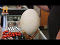 Pawn Stars: RARE FOSSIL EGG is Very Old & Very Valuable (Season 17) | History