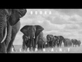 Booba  lphant audio