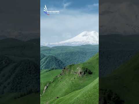 «У меня здесь славная квартира…»
