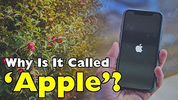 Waarom Steve Jobs een fruitsoort koos voor zijn tech-imperium