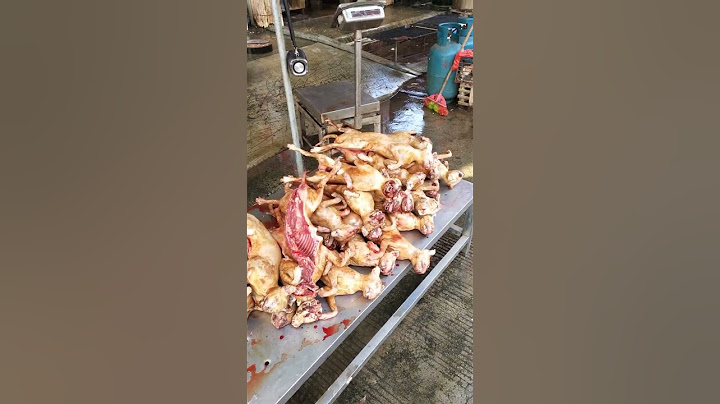 Chinese cat meat store