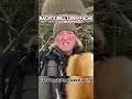 Nachts Bellt der Fuchs (1)