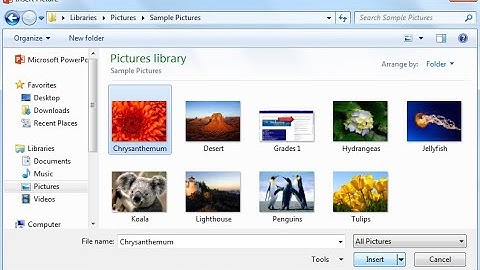 How to Insert Pictures in Ms. PowerPoint | Ms. PowerPoint Part 3