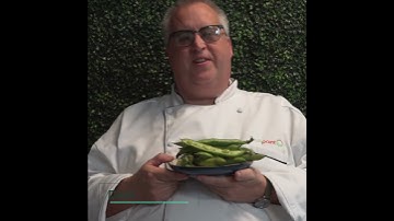 Fresh Things: Using and Cleaning Fava Beans