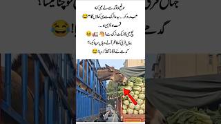 When Opportunity Knocks Even A Donkey Doesnt Wait