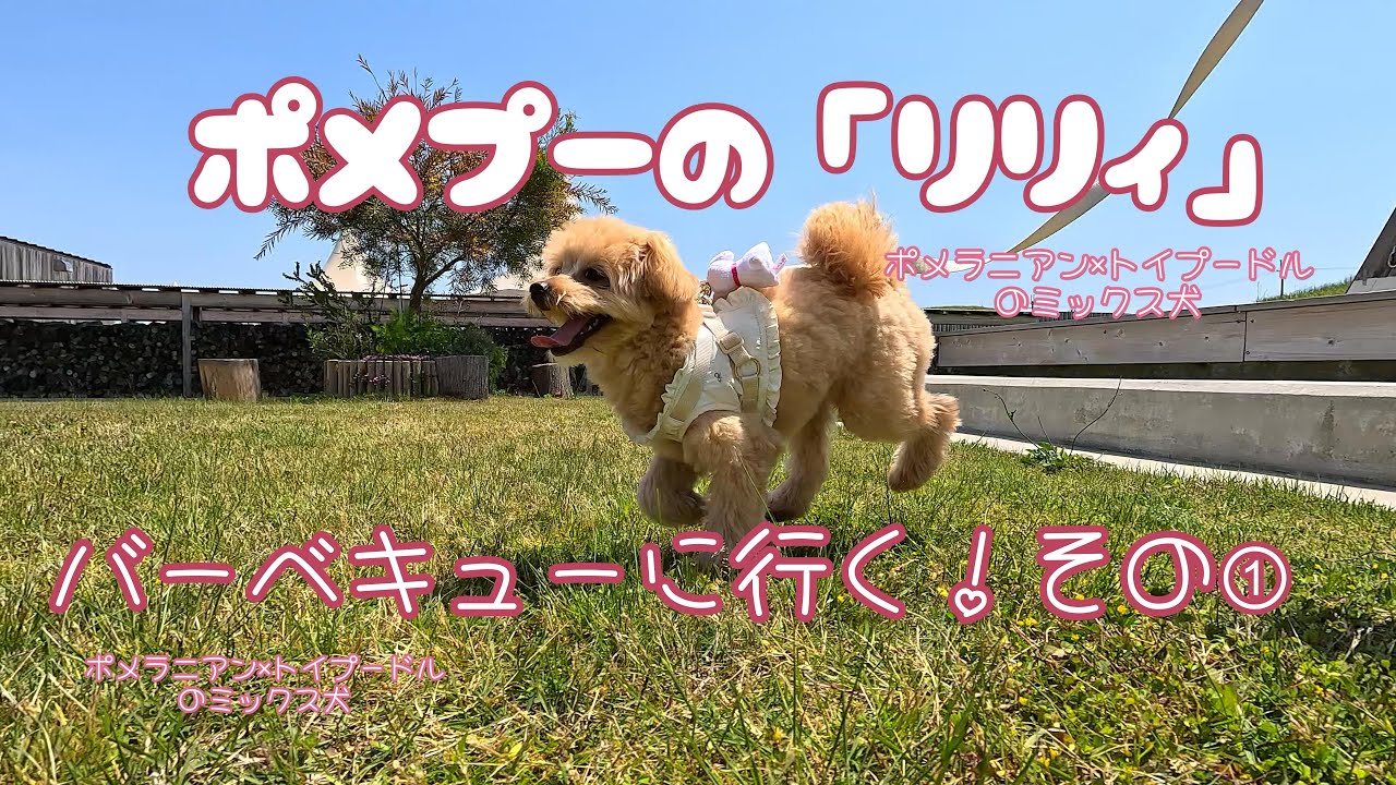 バーベキューに行く！その①