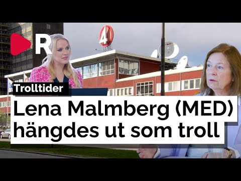 Lena Malmberg Hängdes Ut Som Ett Troll Av Svt Nu Rasar Hon