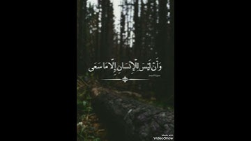 وان ليس للإنسان إلا ما سعى||سورة النجم||القارئ الصغير شمس الدين محمود