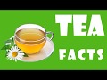 Top 10 Facts About Tea | Chai Ke Baare Mein Jankari | Tea Facts | चाय के बारे में जानकारी