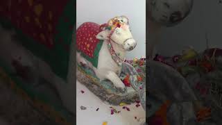 Nandi ji ki Kan Mein Char Shabd Bole #hindu deity #facts #hidden hindu #brahma #thindu #thindu