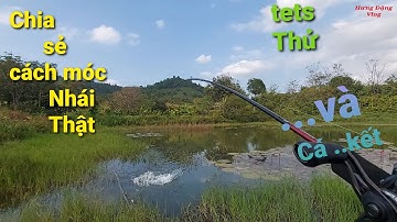 Hưng Đăng vlog,Chia sẻ cách móc nhái thật,đơn giản,nhanh mà cực kỳ hiệu quả