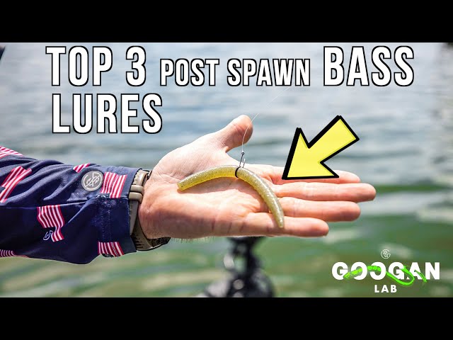 daiwa saltist 5000 2023 SALTIGA 5000-P NostoBlocklist The Zaion AIR ROTOR Size - Click Below to Find Your Size:2-way divided liner - ADD ON Abu Garcia® Ambassadeur® S