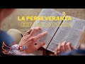 La perseveranza che ricompensa  chiesa evangelica adi forl