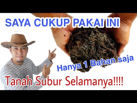 Video: Apa yang membuat asam menjadi asam?